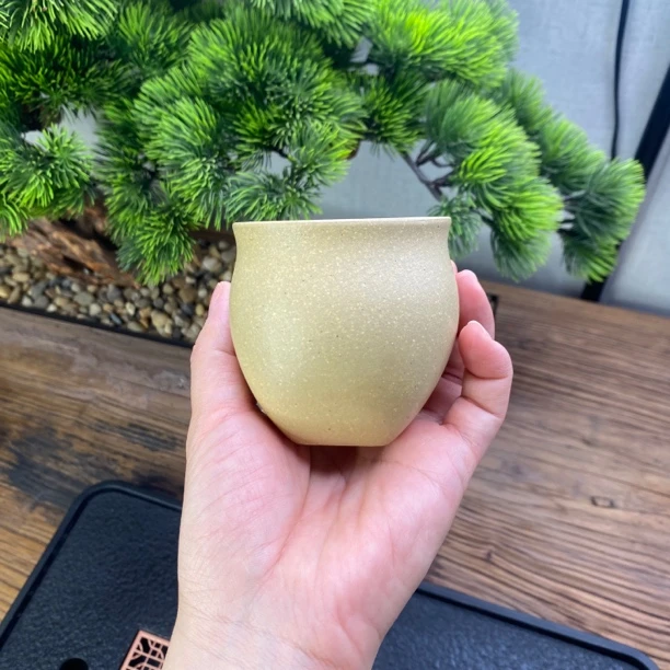 本绿主人杯 体验款 手制