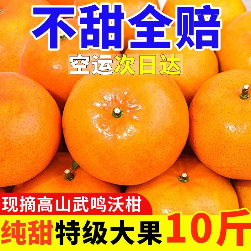 【下单即发】广西武鸣沃柑新鲜水果爆甜薄皮桔子蜜橘无籽非丑橘10