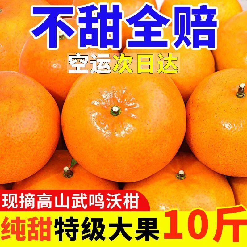 【现摘爆甜】广西武鸣沃柑桔橘子超甜应季新鲜水果非丑橘非沙糖桔