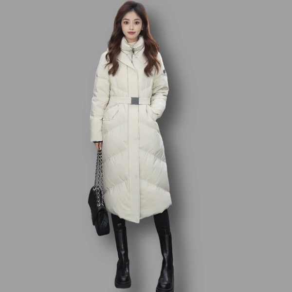 艾莱依2024冬季新款鹅绒羽绒服时尚休闲百搭连帽保暖防风外套1263