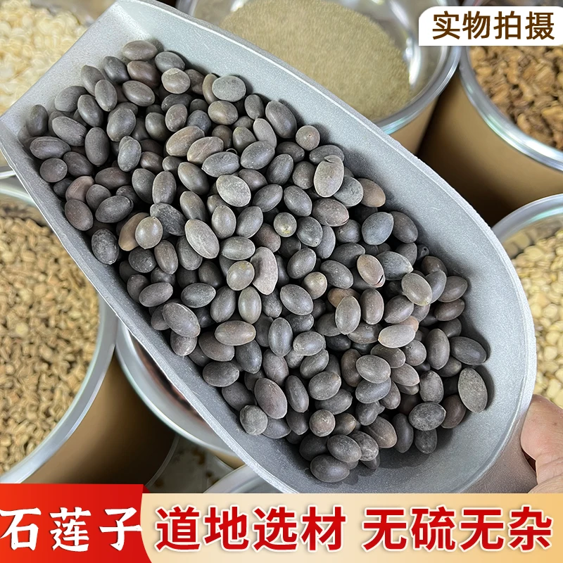 永康元石莲子中药材新鲜干货甜石莲子壳莲子新货