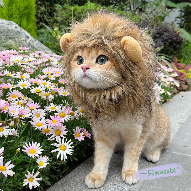 BELLERHA猫咪装饰帽子小型犬可爱搞怪套装猫咪狮子头套透气网红