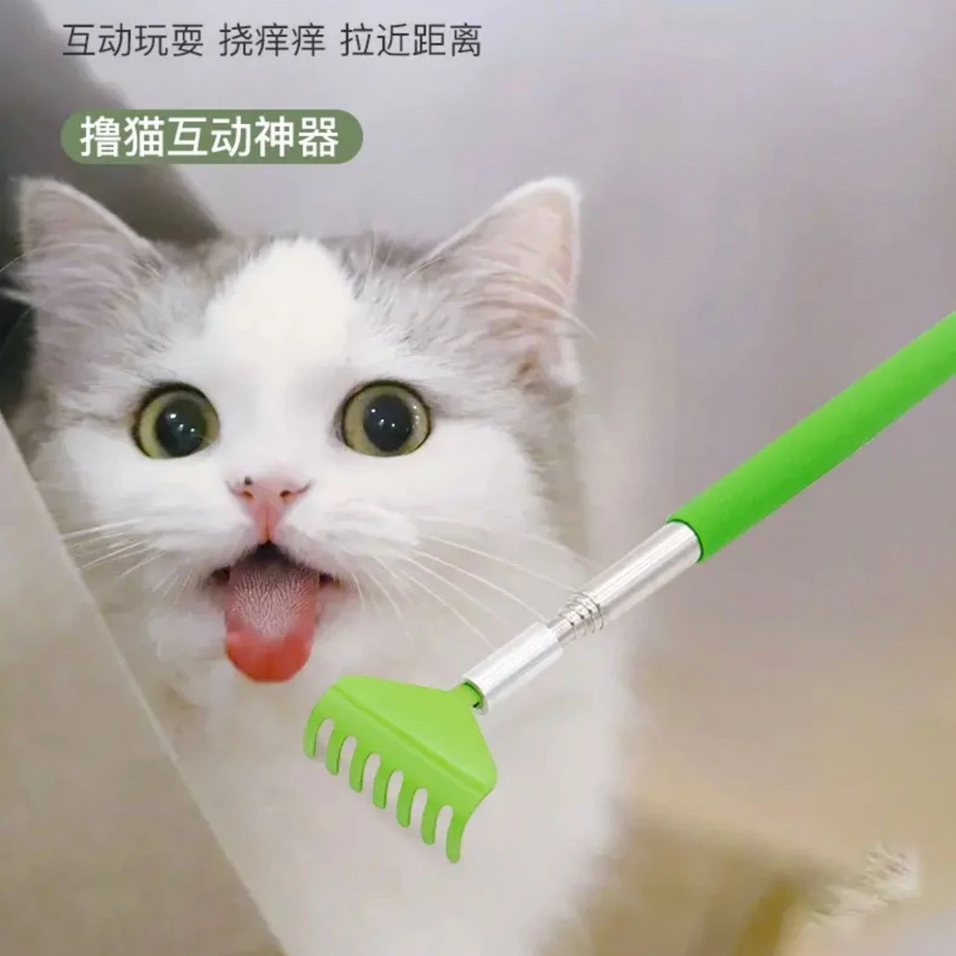 【宠物互动神器】猫咪互动痒痒挠猫犬通用多功能便携可伸缩抓痒