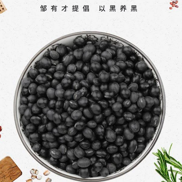 孙系农品朝阳非转基因5斤黑豆
