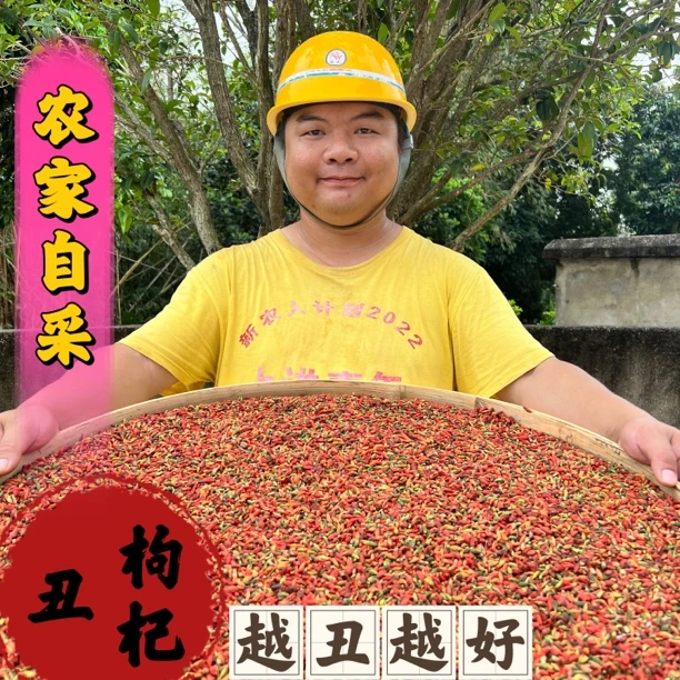 长白山五彩枸杞子天然晒干无添加