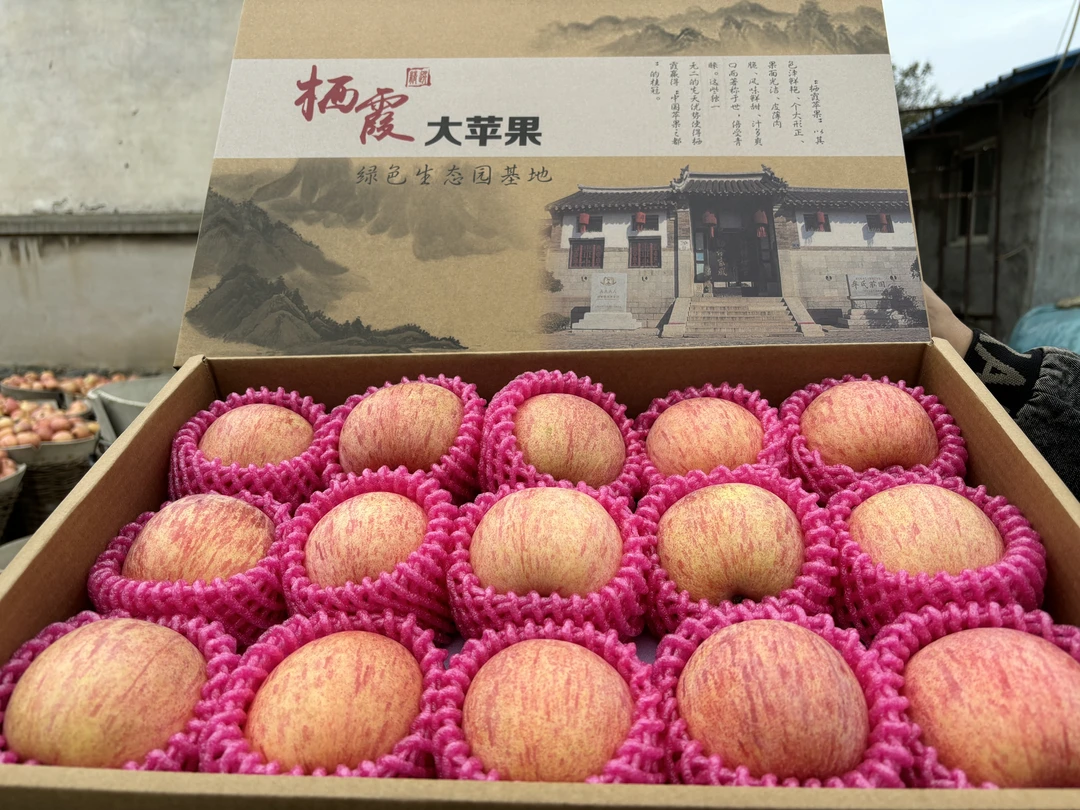 栖霞条纹红富士苹果15颗85果“精品礼盒”