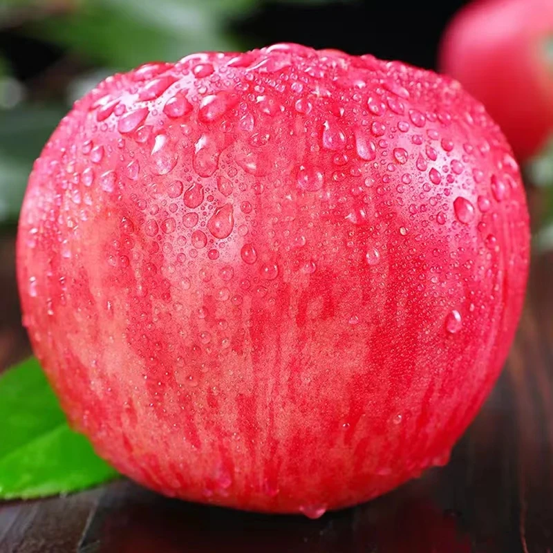 陕西洛川红富士苹果脆爽甘甜新鲜好吃产地直发