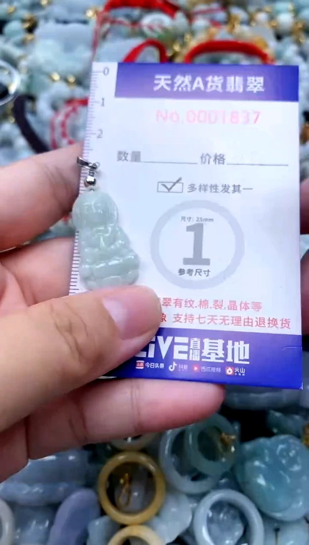 【闪购商品】翡翠颈饰未镶嵌翡翠