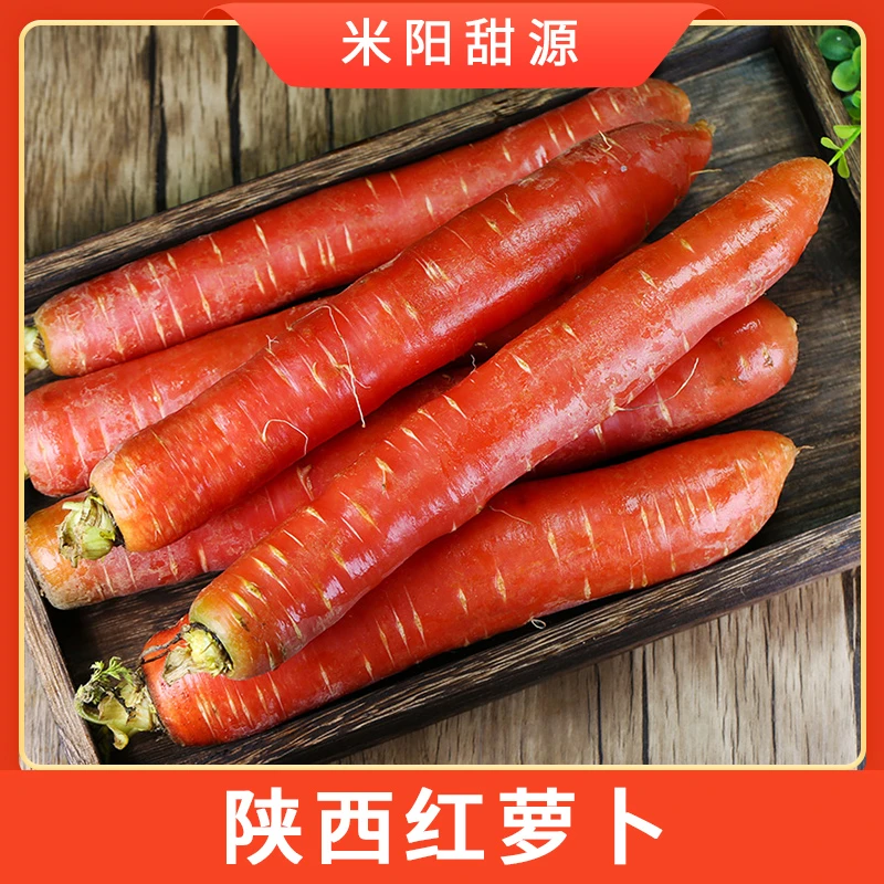 【米阳甜源】陕西红萝卜 5斤约12-19个