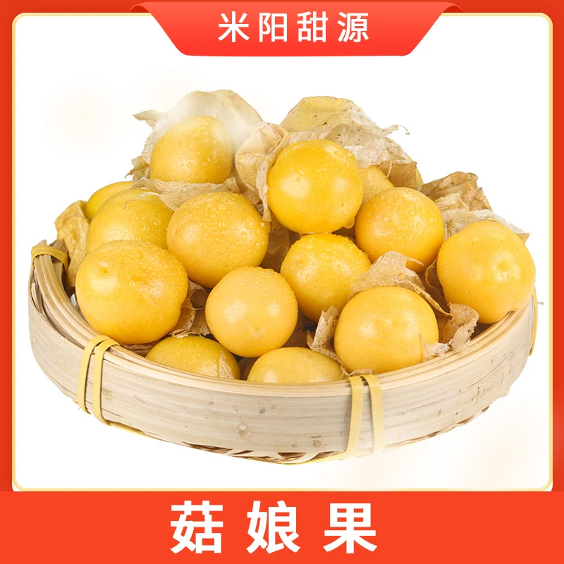 【东北菇娘果】当季水果香甜多汁灯笼果菇娘果产地直发1/2/3/5斤 S