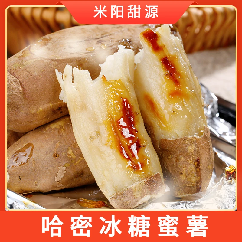 【哈密蜜薯】新鲜哈密冰糖薯香甜白心蜜薯地瓜 4.5斤装 S