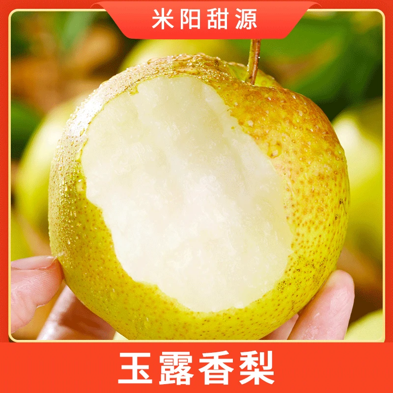 【米阳甜源】山西玉露香梨4.5斤约4-11枚