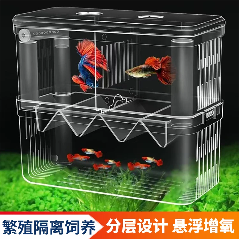 鱼缸隔离盒孔雀鱼饲养盒