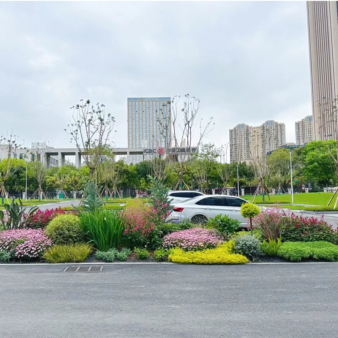 花园庭院花境别墅阳台市政地产学校室外植物绿植花卉花境搭配配置
