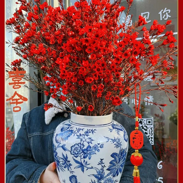 【澳洲腊梅 共发2束】红色重瓣鲜切花新年宵花云南直发（一单包邮）