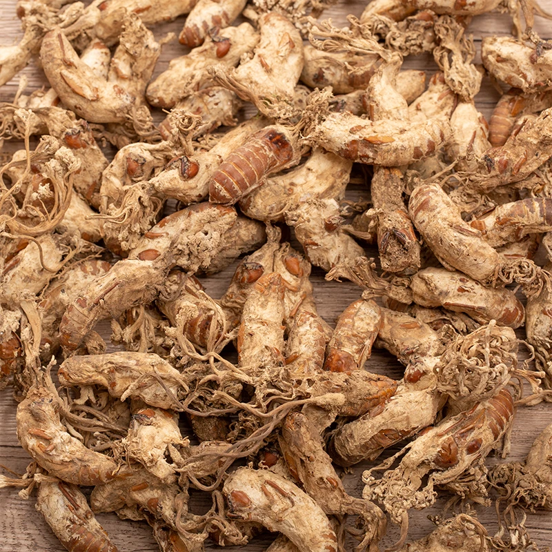 【蝉花】精选大只蝉花 50g/100g贝食用