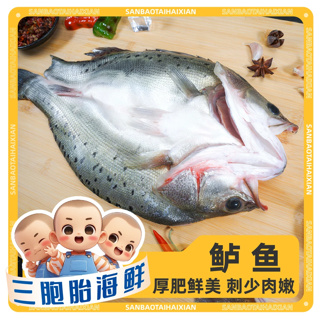 【顺丰发货】③新鲜开背鲈鱼肉质鲜嫩 300-400g左右/条*4条