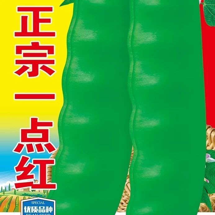 正宗一点红豆角种子早熟品种抗病高产有红纹春秋均可种植豆角籽种