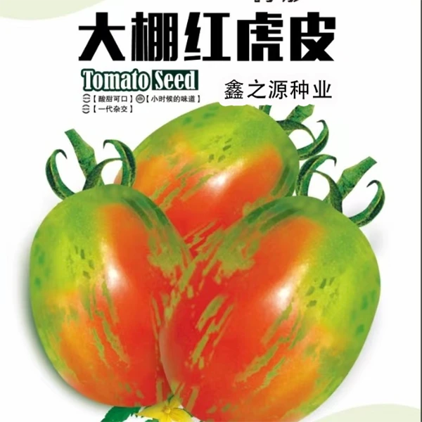 大棚红虎皮水果番茄种子一代杂交酸甜可口抗寒耐热优质西红柿籽种