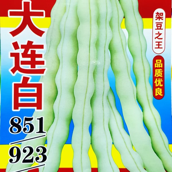 大连白大架豆角种子豆荚鲜嫩无筋无柴商品性好东北白豆角白不老