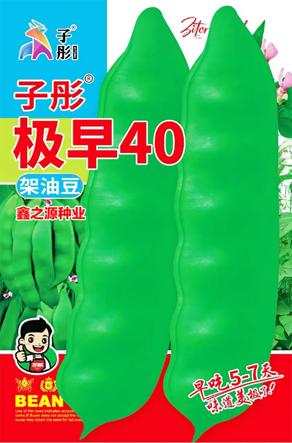 极早40豆角种子抗病高产需要搭架豆角籽蔬菜种子豆角籽种