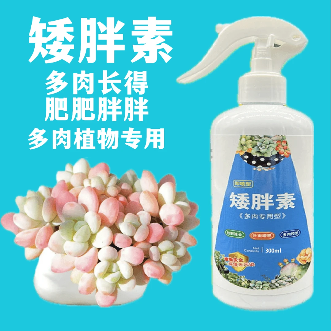 【多肉专用】矮胖素 适用多肉专用增色增肥促生长激活植物营养液