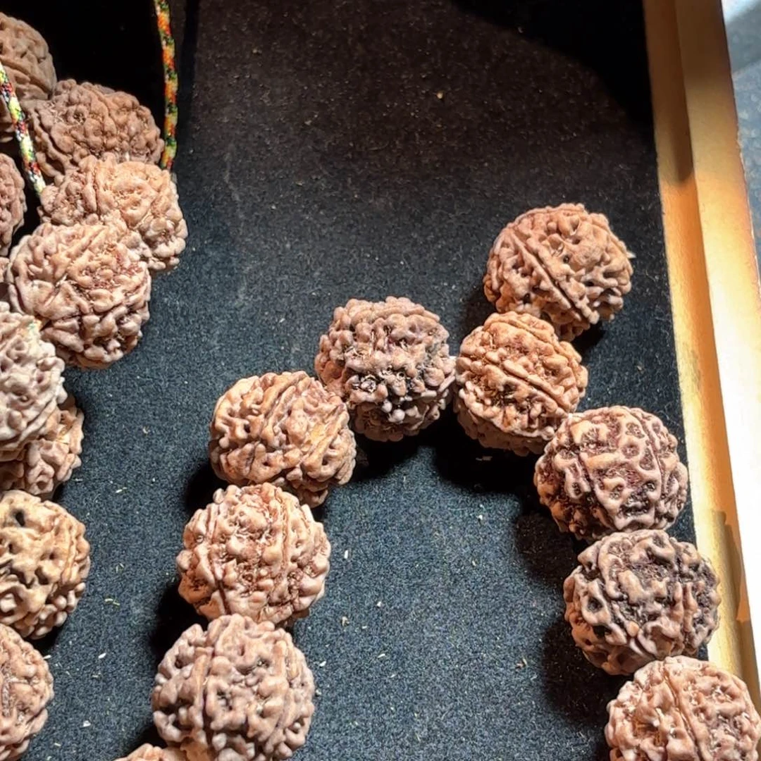 金刚菩提吊坠富***原生态