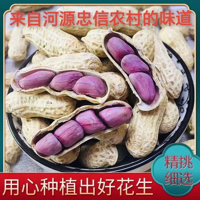 【紫衣咸脆五香味花生】广东河源忠信紫衣脆干湿烤花生咸香酥脆下酒