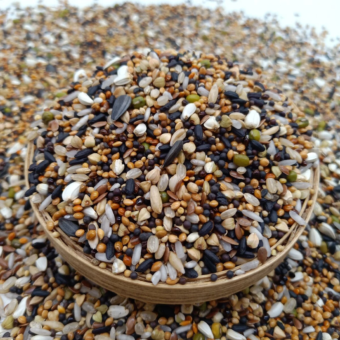 金冠鸽粮/魔鬼2025/5斤10斤20斤赛鸽信鸽归巢育雏粮食鹦鹉