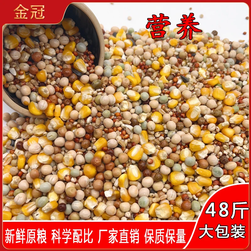 金冠带玉米精品营养大包装粮饲料鸟食信鸽48斤
