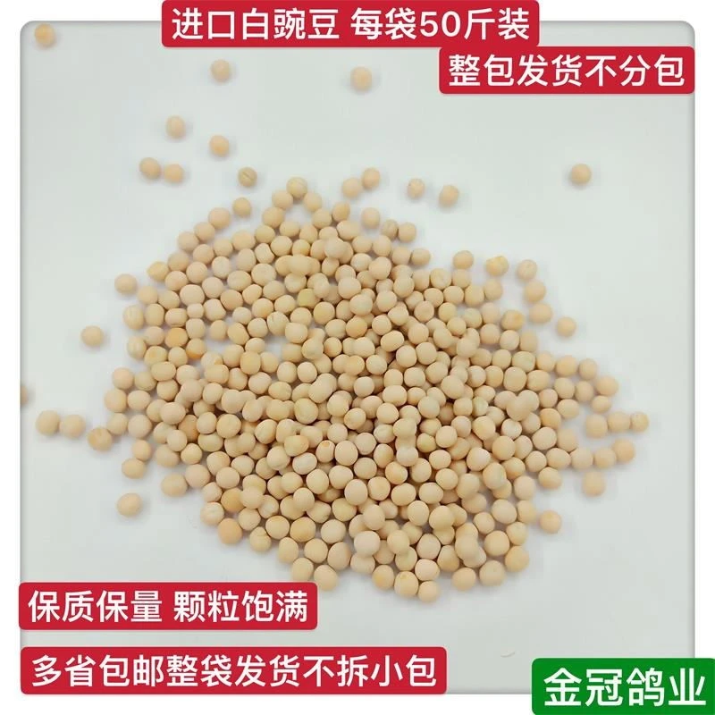 优质白豌豆进口白豌豆鸟粮鸟食鸽粮信鸽鹦鹉仓鼠饲料每件50斤
