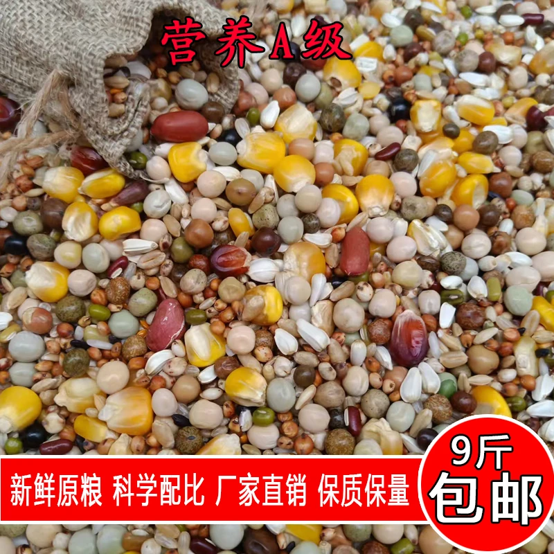 金冠精品营养A级9斤装鸽子粮饲料鸟食信鸽赛鸽新鲜正宗鸽粮包邮