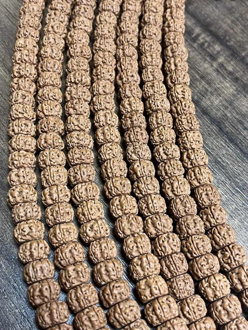 BHI红皮P盘龙王尺寸10-15