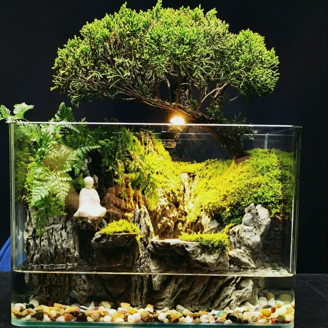 [龟隐]流水大缸老桩济州真柏狼尾蕨成品创意绿植微景观30*18*21cm