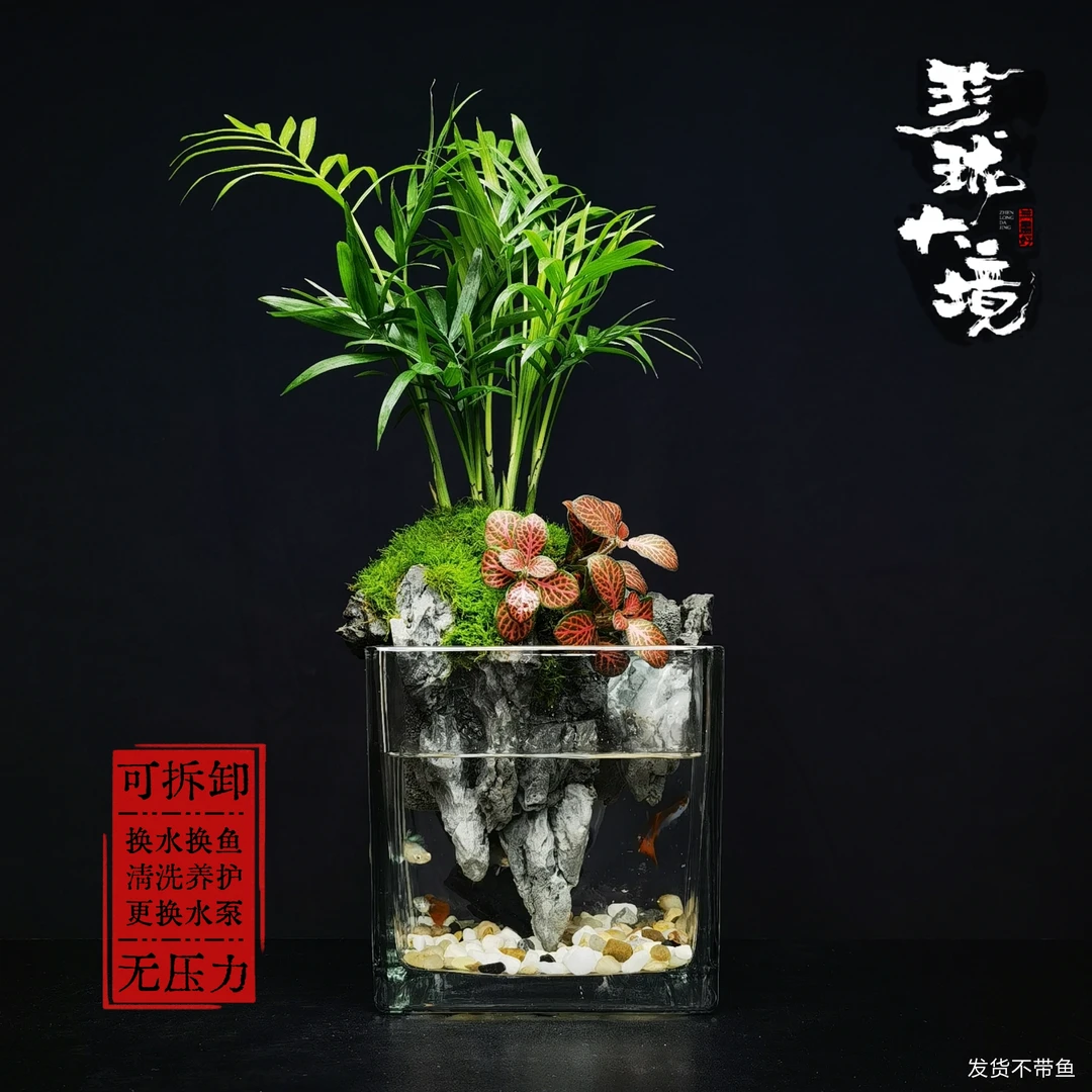 [听海]袖珍椰子中式流水摆件真植物桌面鱼缸点缀微景观12*12*12cm