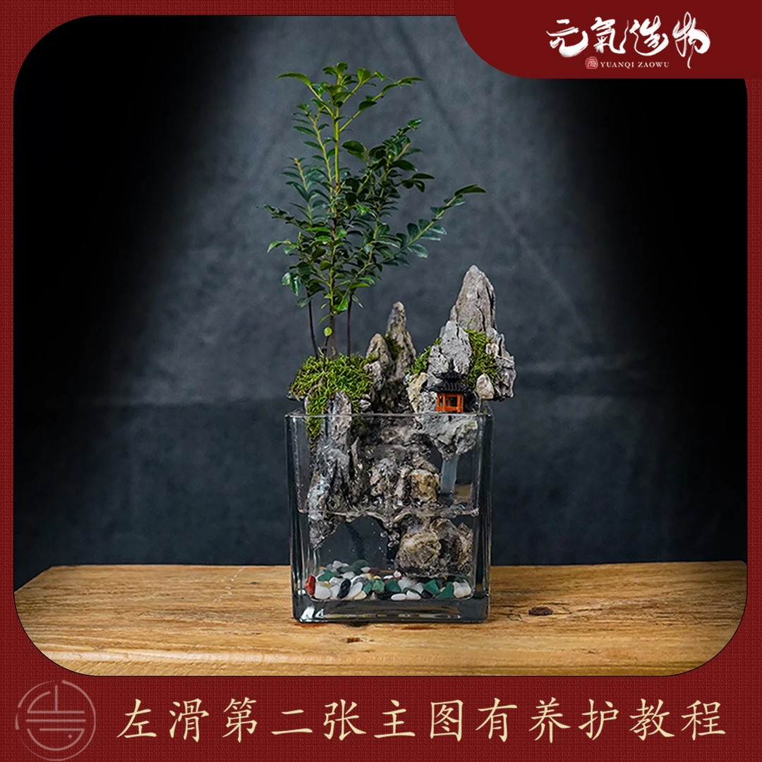 【新品】紫檀—流水生态景观小叶紫檀景观创意造景 ：尺寸【12*12】