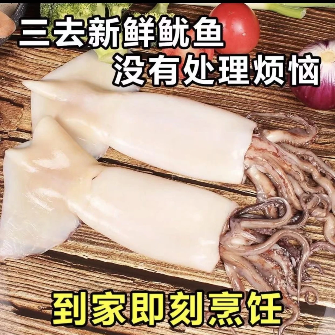 连云港新鲜鲜活海捕鱿鱼当天捕捞鱿鱼去内脏鲜美爆炒烧烤3斤/6斤