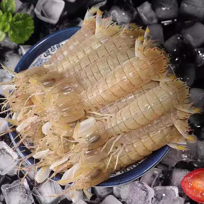 （金涛鲜生）1斤爬虾包邮