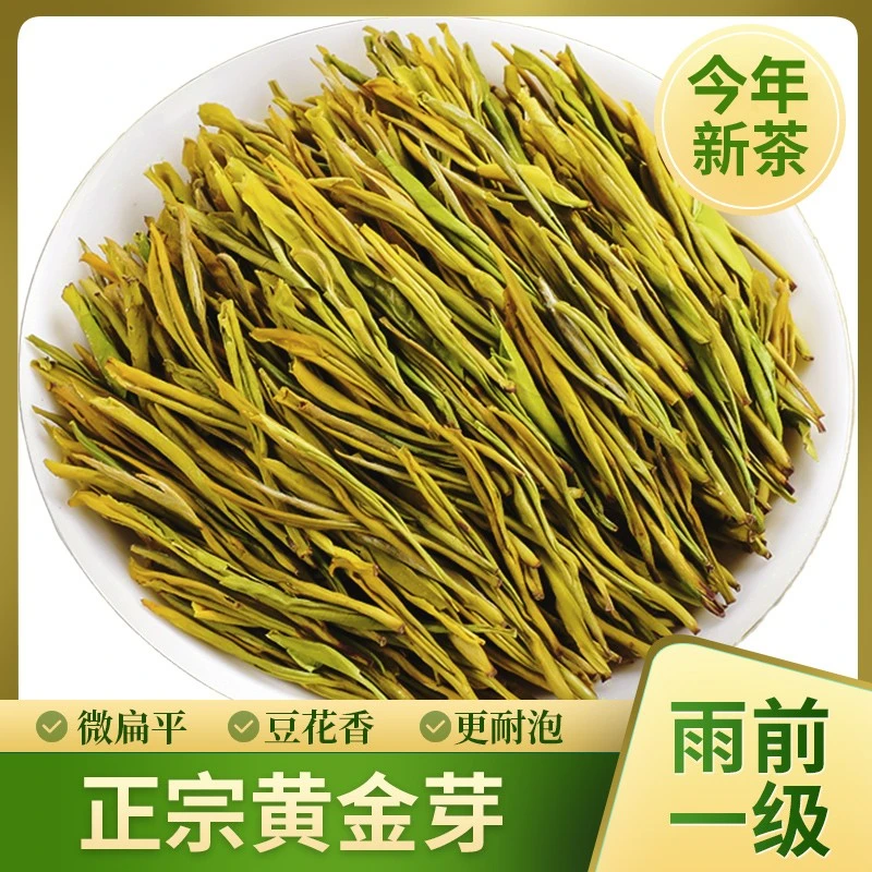 刘禹昊2023新茶雨前高山浓香耐泡黄金芽茶叶炒青绿茶250g/500g