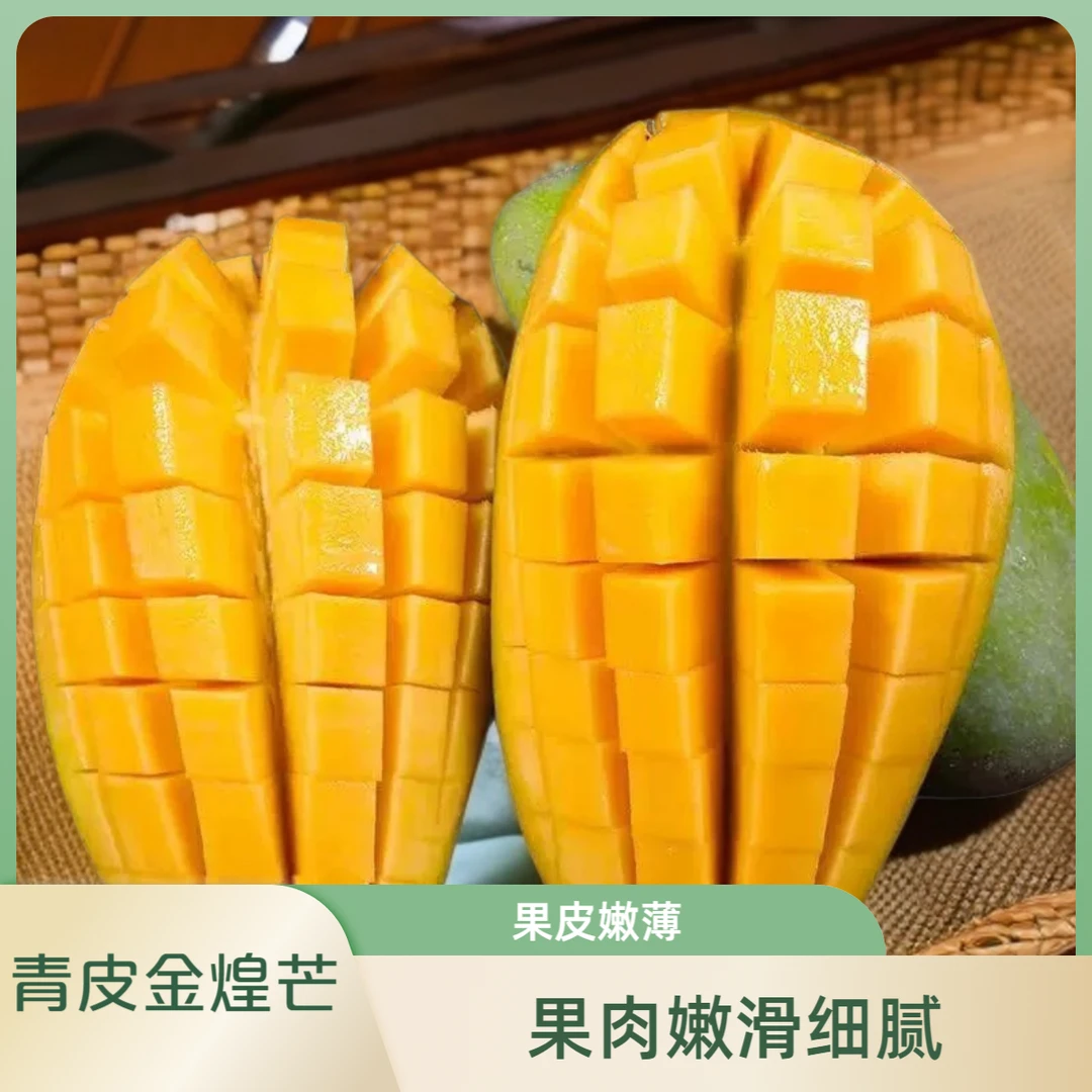 百果颜兮广西青皮金煌芒 3/5斤8斤装新鲜应季水果 放软后食用