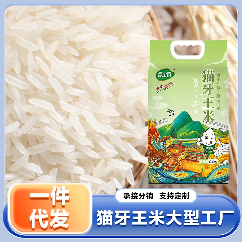 【厂家直发】猫牙王米当季新米真空包装长粒香米大米好吃