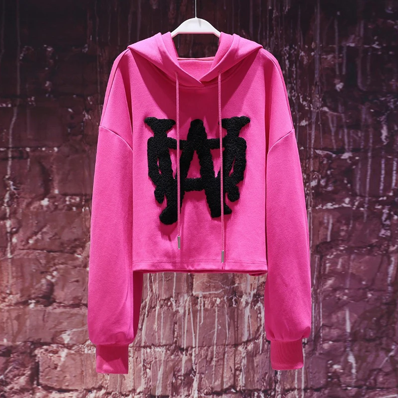气质小众设计印花连帽卫衣2025春秋新款上班族通勤风女装时尚上衣