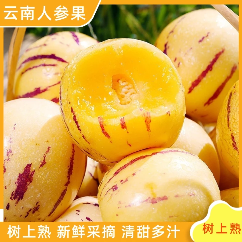 云南人参果 树上熟当季新鲜水果清甜多汁净重3-5斤 产地直发果香