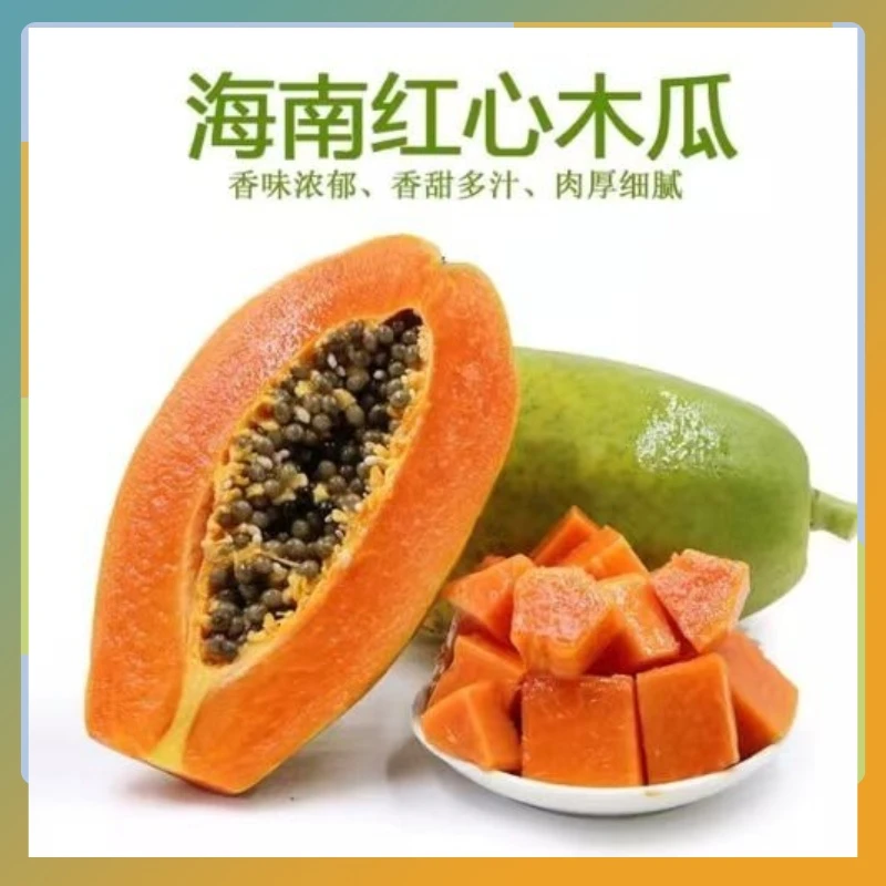 海南红心青皮木瓜香甜多汁树上熟坏果包赔4-4.5斤新鲜采摘
