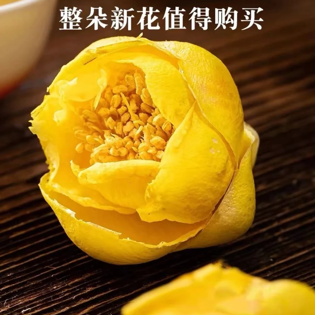 【云货百鲜】金茶花（云南）