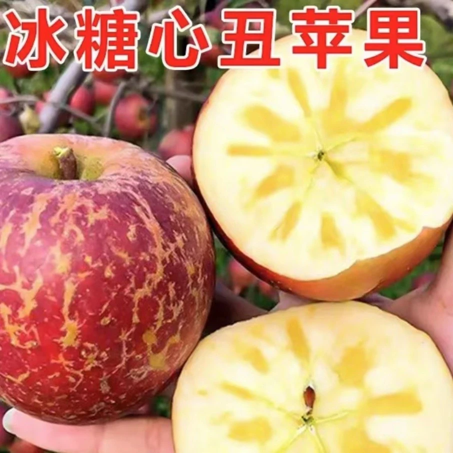 【糖心丑苹果】四川大凉山丑苹果冰糖心苹果现摘现发5/8斤装