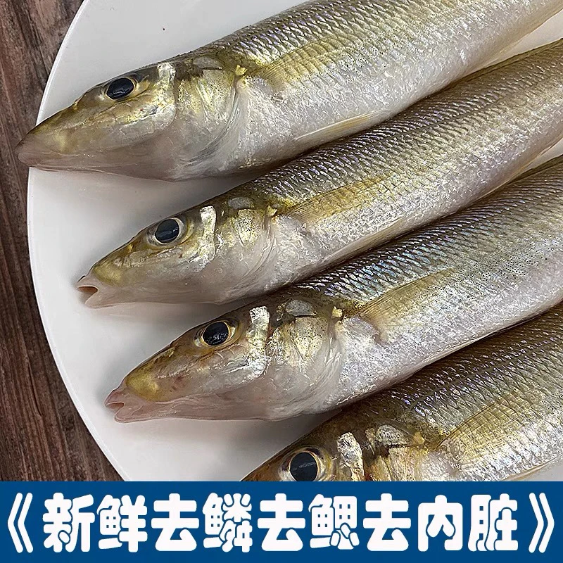 南海野生大沙尖鱼 新鲜去鳞去内脏 顺丰包邮