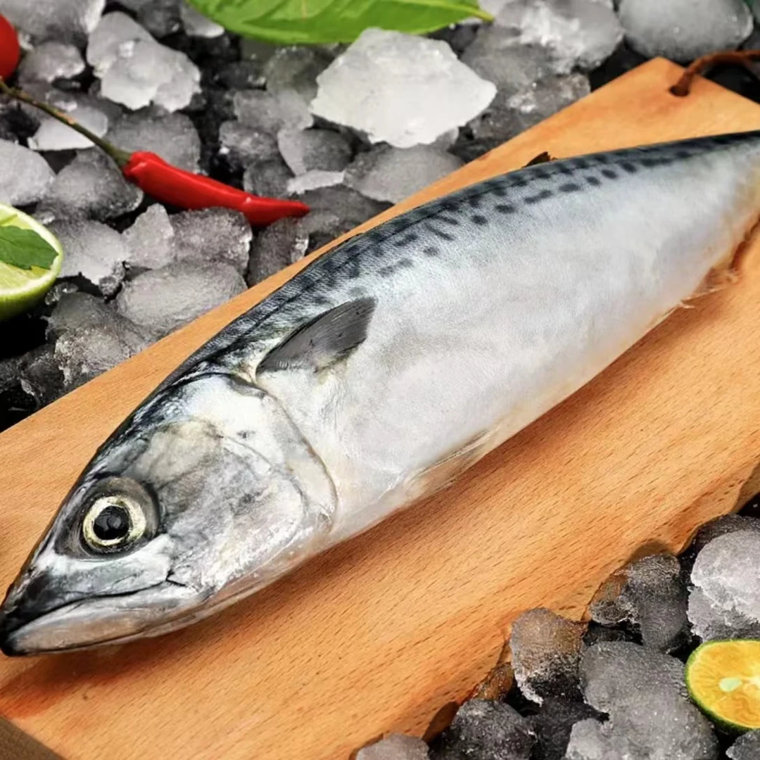 【小妹】东山岛速冻青花鱼3-4两/条野生鲐鲅鱼青占速冻发货