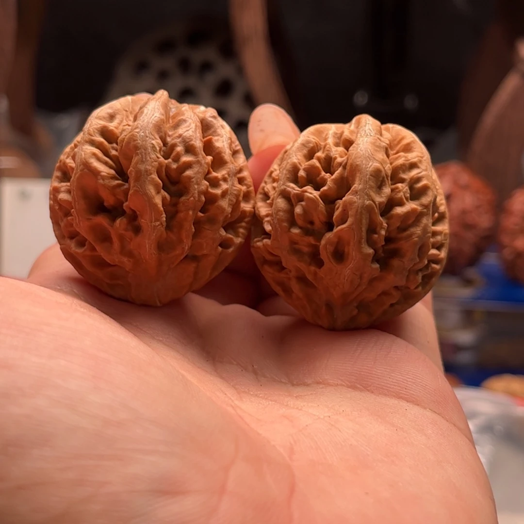 文玩核桃把件关东木子家楸大胖37