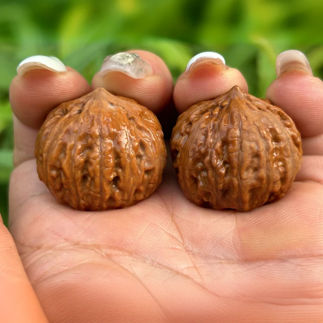 秦岭野生灯笼文玩元宝手撵核桃